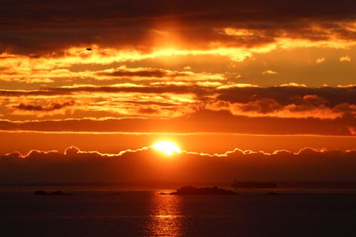 Free Breathtaking sunrise over Cove Island Park in Stamford, Connecticut with vibrant fall colors. Stock Photo