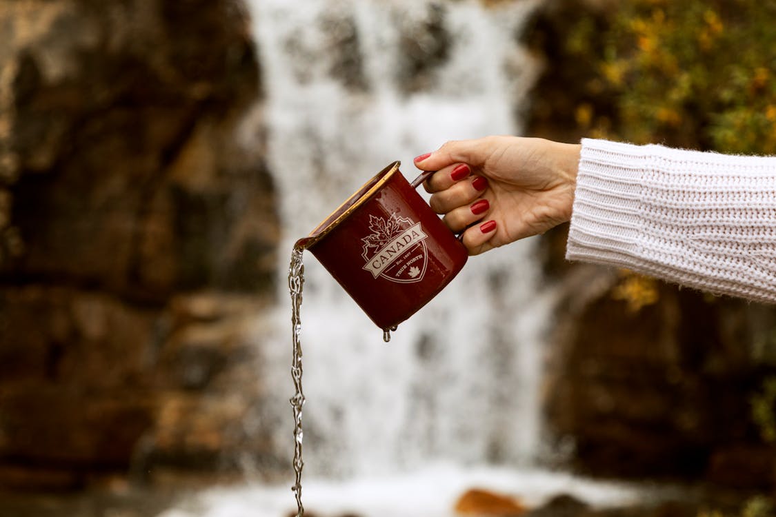 Free Person Holding Brown Mug Stock Photo