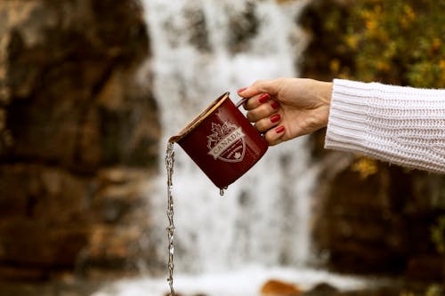 Free Person Holding Brown Mug Stock Photo