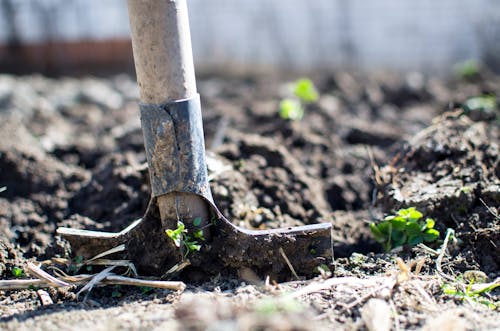 Shoveling dirt in garden
