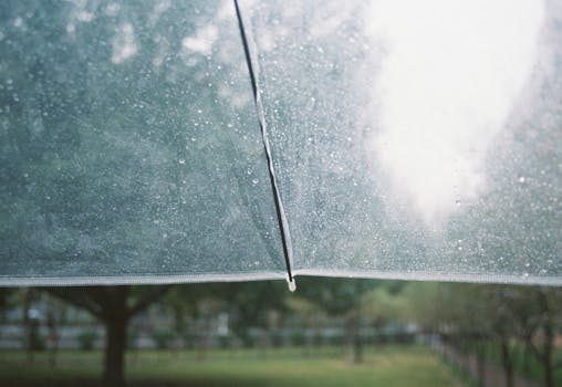 Clear umbrella with raindrops, capturing a peaceful rainy day in the park.