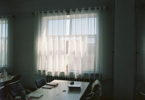 Peaceful office interior with sunlight flowing through sheer curtains, creating a calming atmosphere.