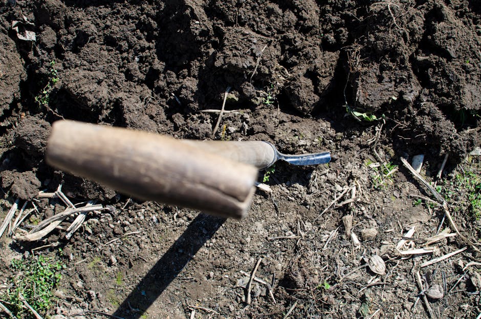 trowel in ground to dig in surace to find composting worms. 