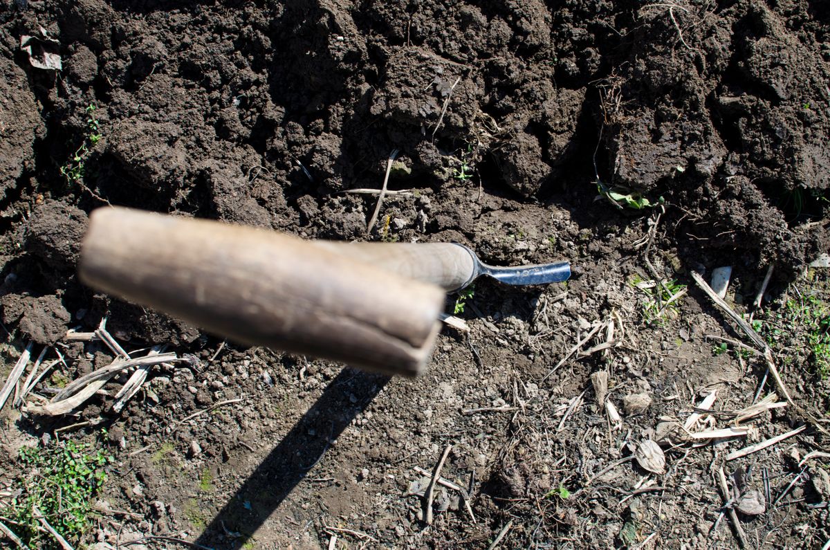 Transplantoir à manche en bois planté dans une terre de jardin fraîchement retournée