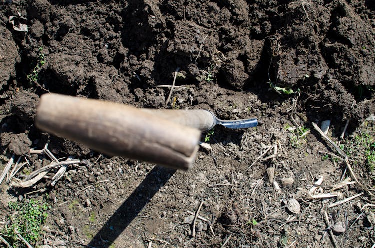 Brown Shovel