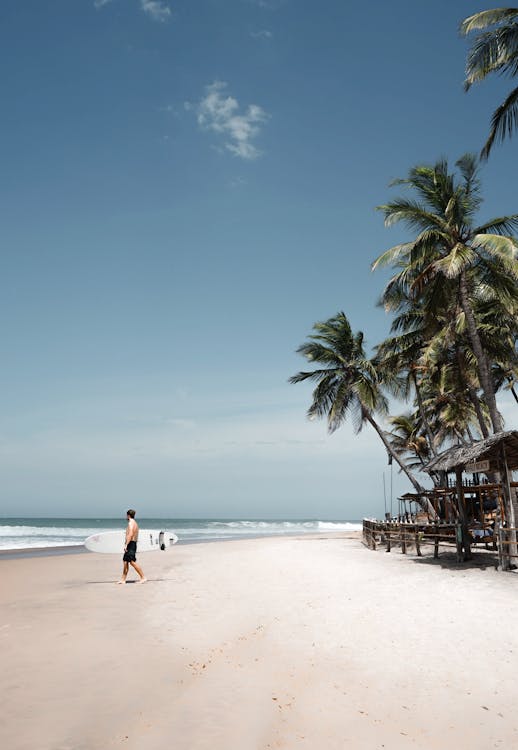 Free Man Walking on Seashore Near Palm Trees Stock Photo