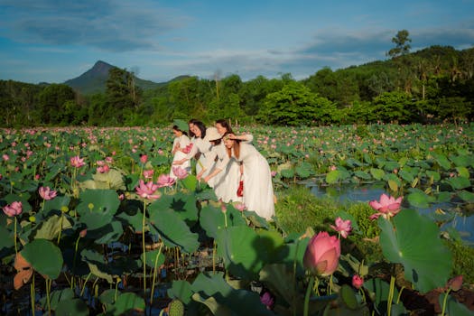 Four women in white dresses pose amidst a blooming lotus field in Hội An, Vietnam.