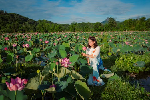 Woman in traditional Ao Dai dress enjoying vibrant lotus field in Hoi An, Vietnam.