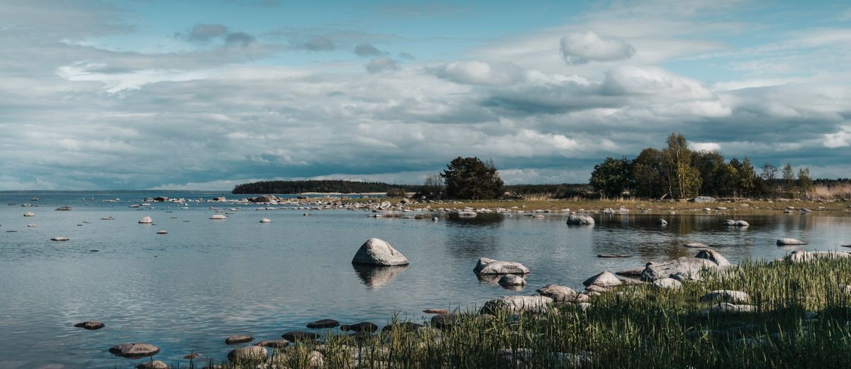 La costa rocosa del Parque Nacional Lahemaa