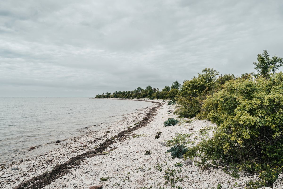 Plaja de bolovani rotunjiti si padure pe insula Hiiumaa