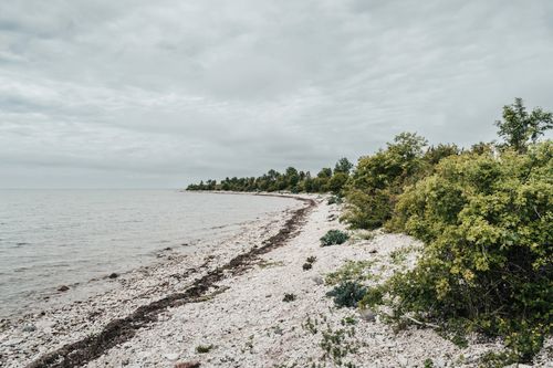 Free Explore the untouched beauty of Hiiumaa Island's cobblestone beach with lush greenery. Stock Photo