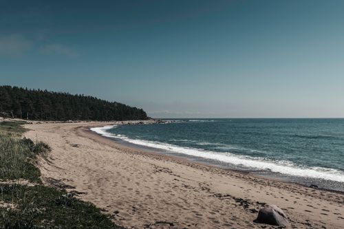 Free Peaceful sandy beach on Hiiumaa Island, showcasing untouched natural beauty and scenic coastline views. Stock Photo