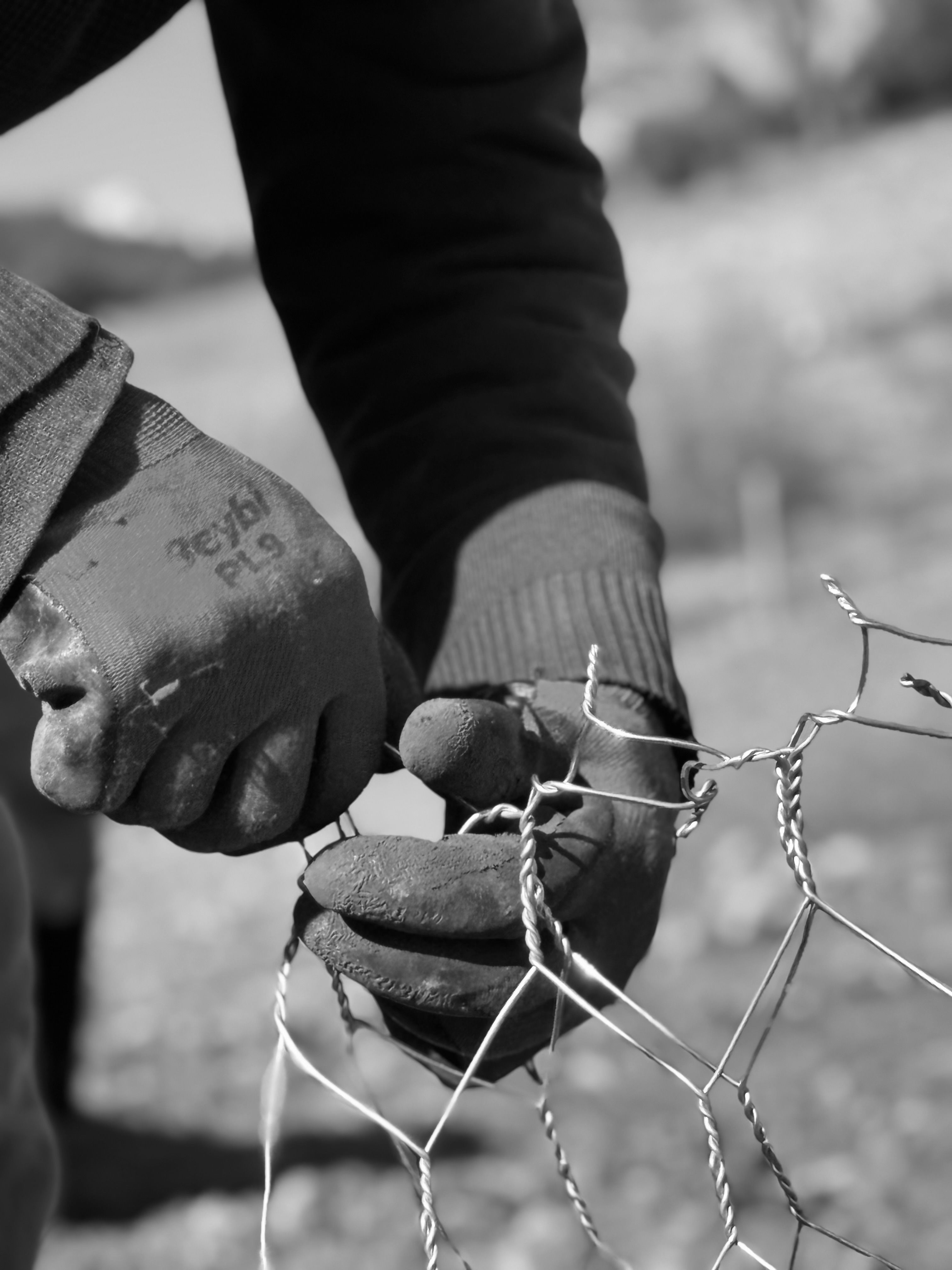 Do You Need a QBCC Licence for Fencing? Rules, Exemptions & Licence Classes Explained 4 Gloved hands constructing a wire fence outdoors