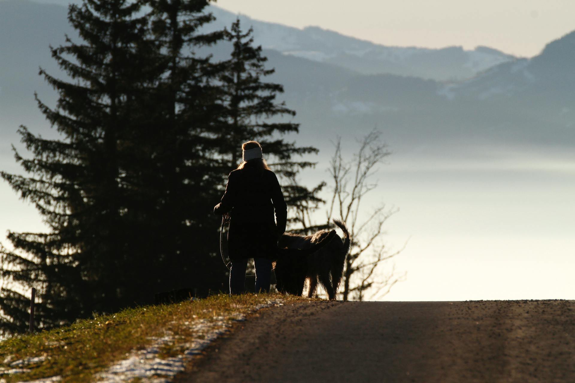 Silhouetted person walking a dog on a serene mountain path at dusk.