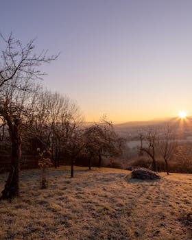 A beautiful sunrise over a frosty landscape with bare trees and distant hills.