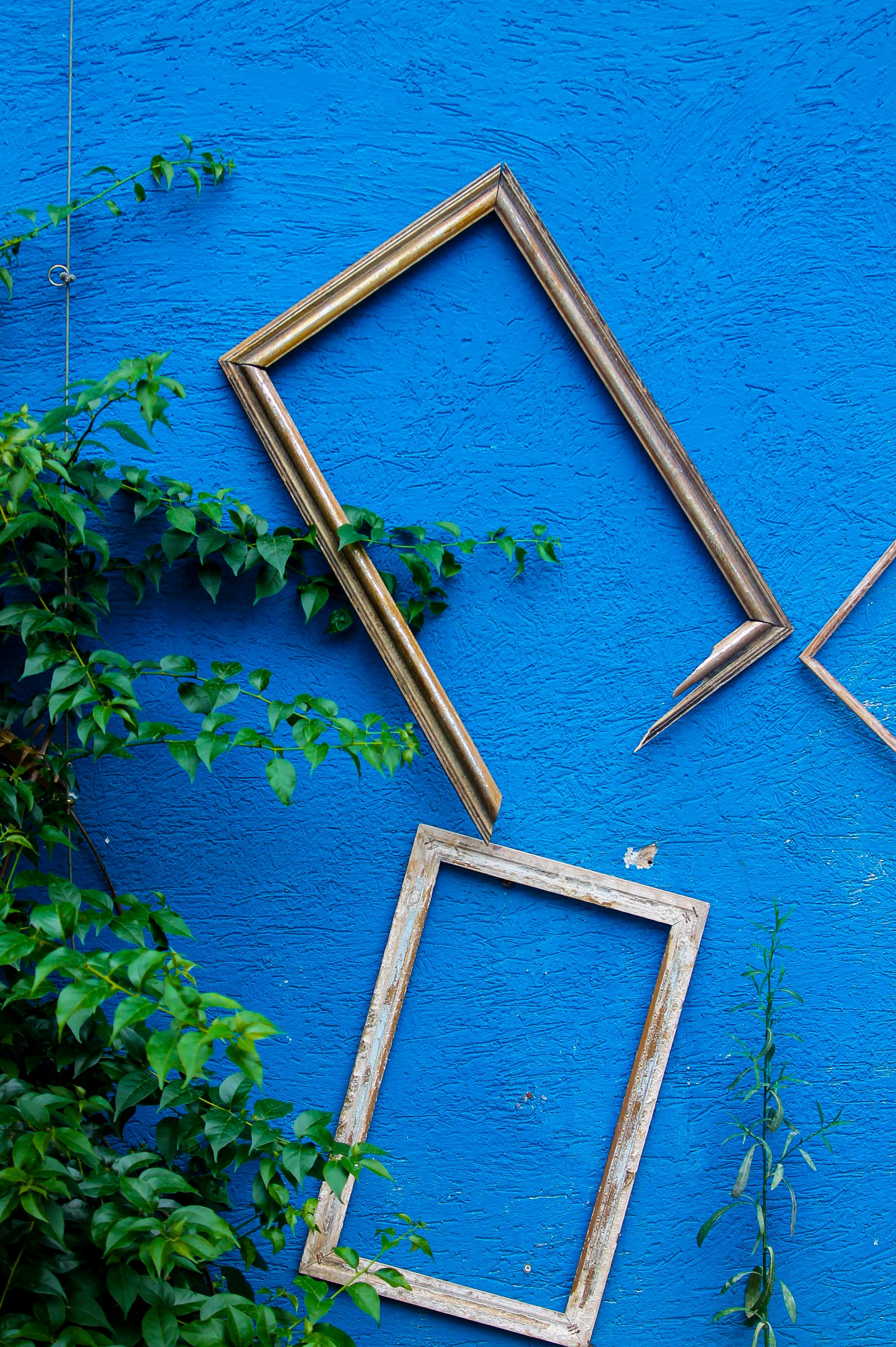 Decorative empty frames on a vibrant blue wall with greenery for a creative touch.