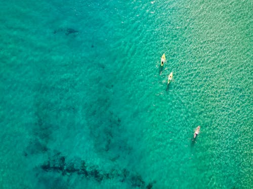 Free stock photo of kayak, ocean