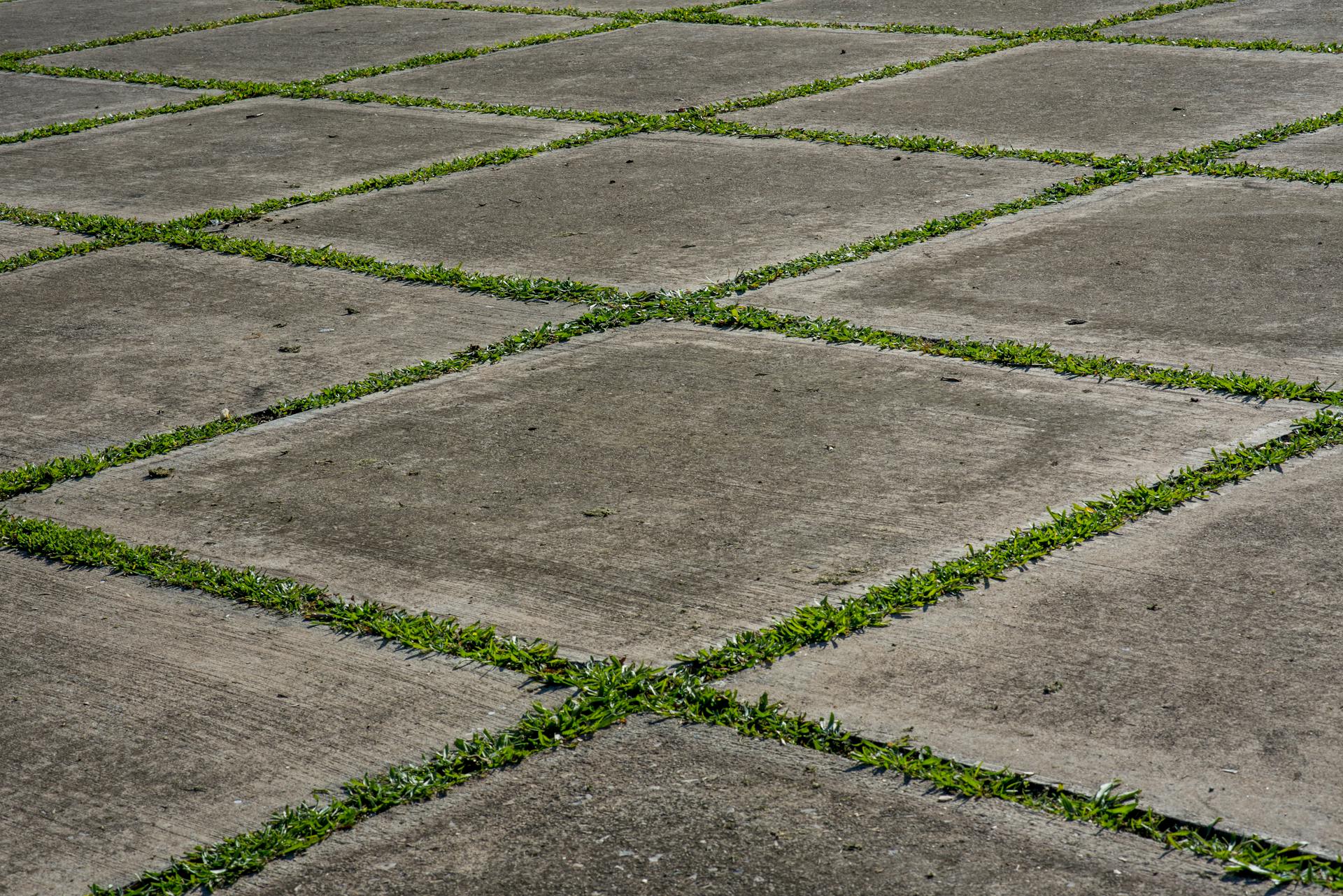 Close-up of concrete tiles with green grass growing in between, forming a grid pattern.