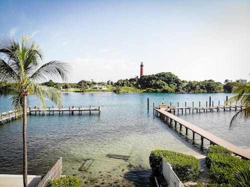 Free stock photo of lighthouse, palm tree