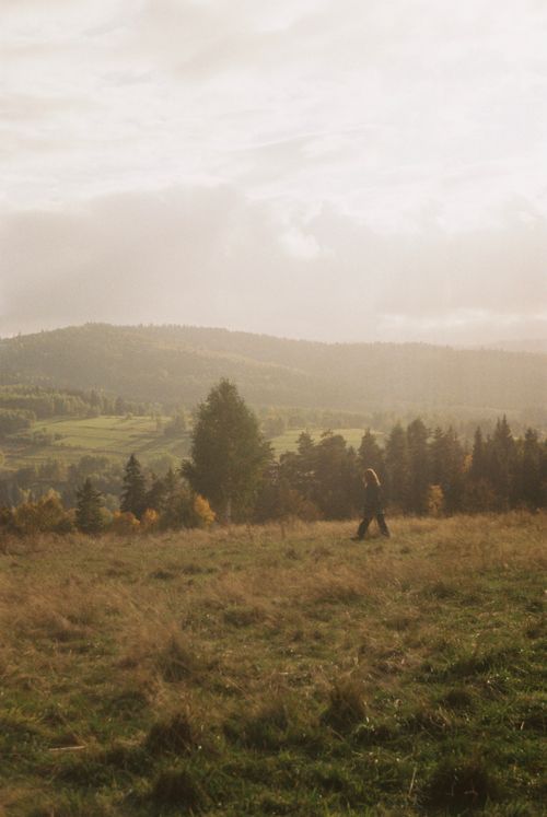 Free A lone person walks through a vast, scenic landscape during early autumn's golden hour. Stock Photo