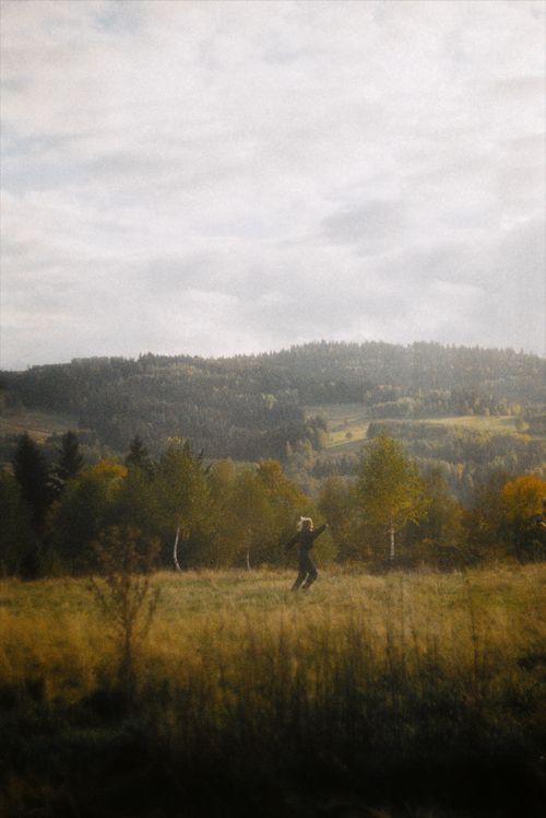Free stock photo of 35mmfilm Stock Photo