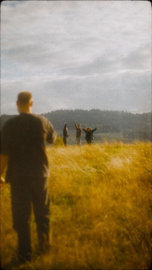 Free stock photo of 35mmfilm, goldenhour Stock Photo