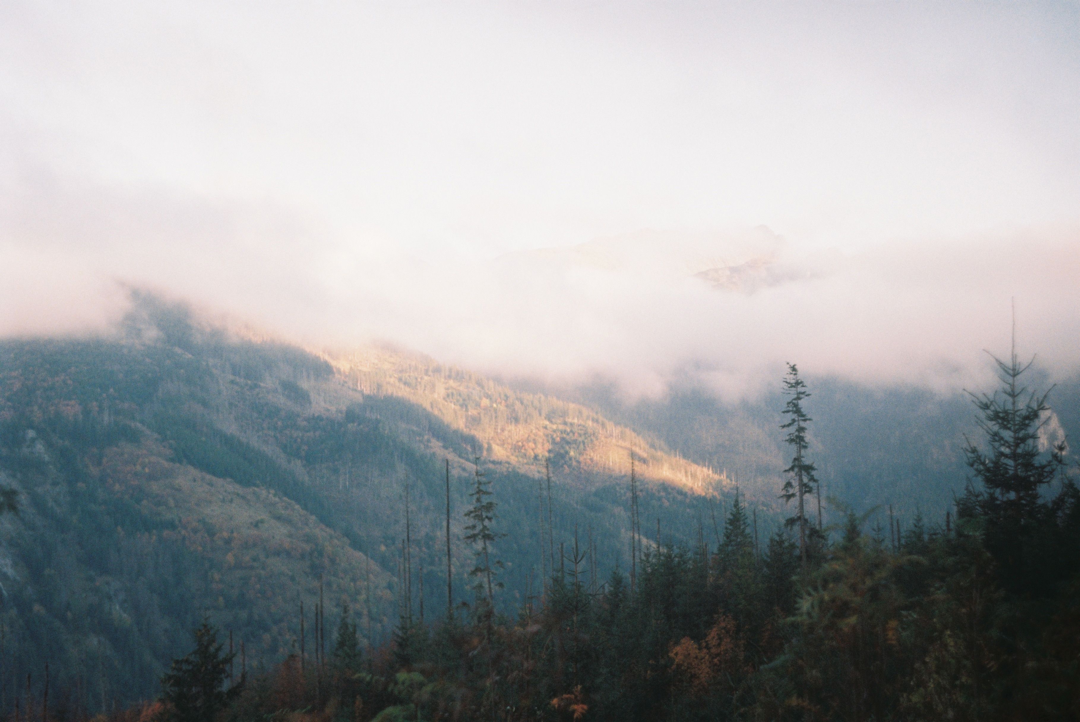 Serene Mountain Landscape with Misty Peaks · Free Stock Photo