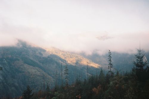 Free Peaceful mountain scene with mist covering peaks and evergreen trees. Stock Photo