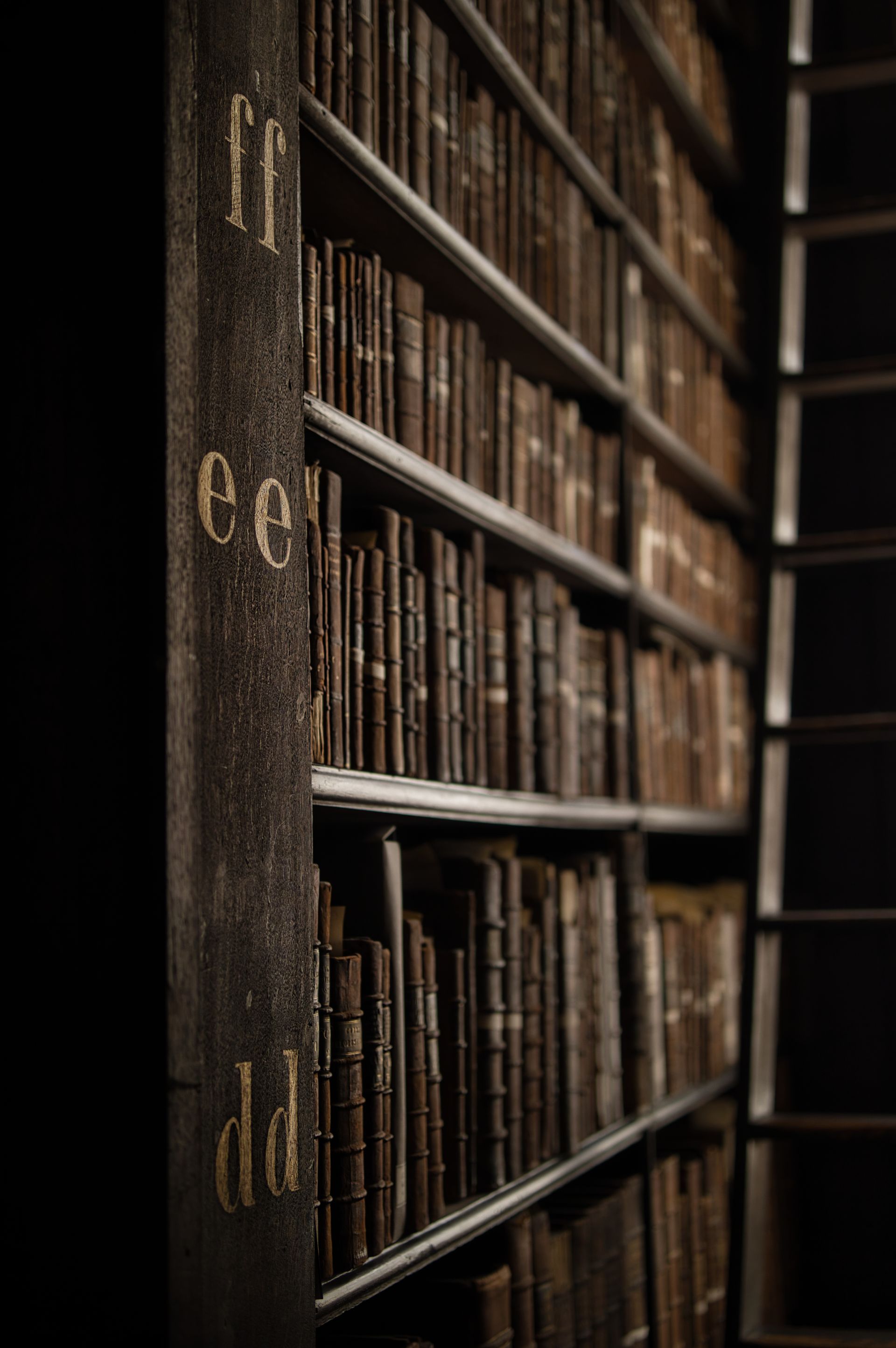 The firm's law library, shelved floor to ceiling
