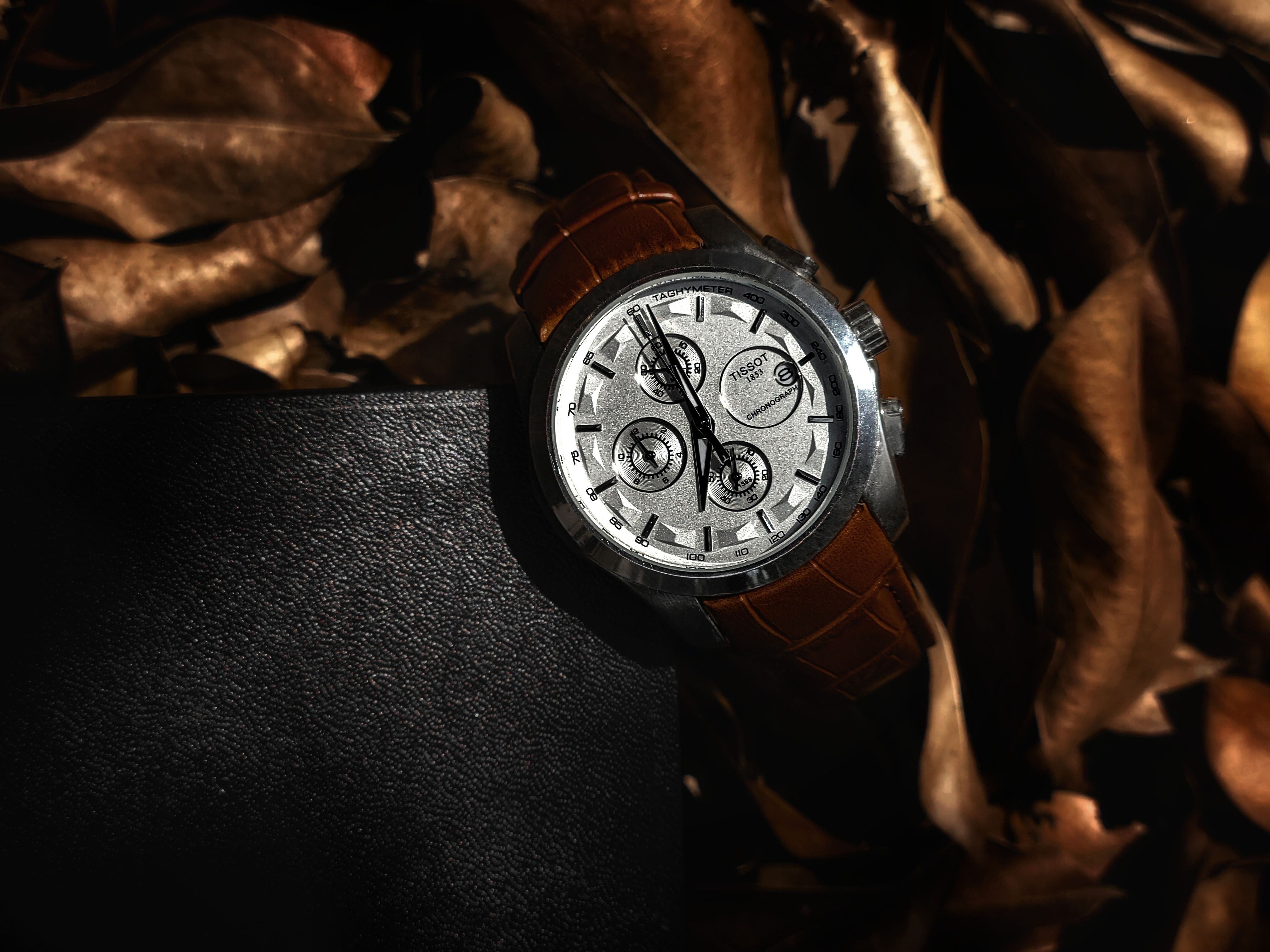 Elegant Brown Leather Watch on Rustic Leaves · Free Stock Photo