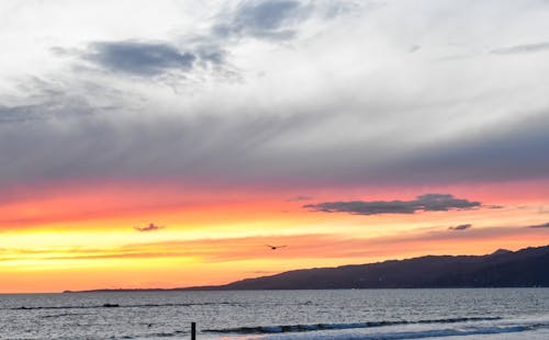 Free stock photo of beach, beautiful sunset, coast