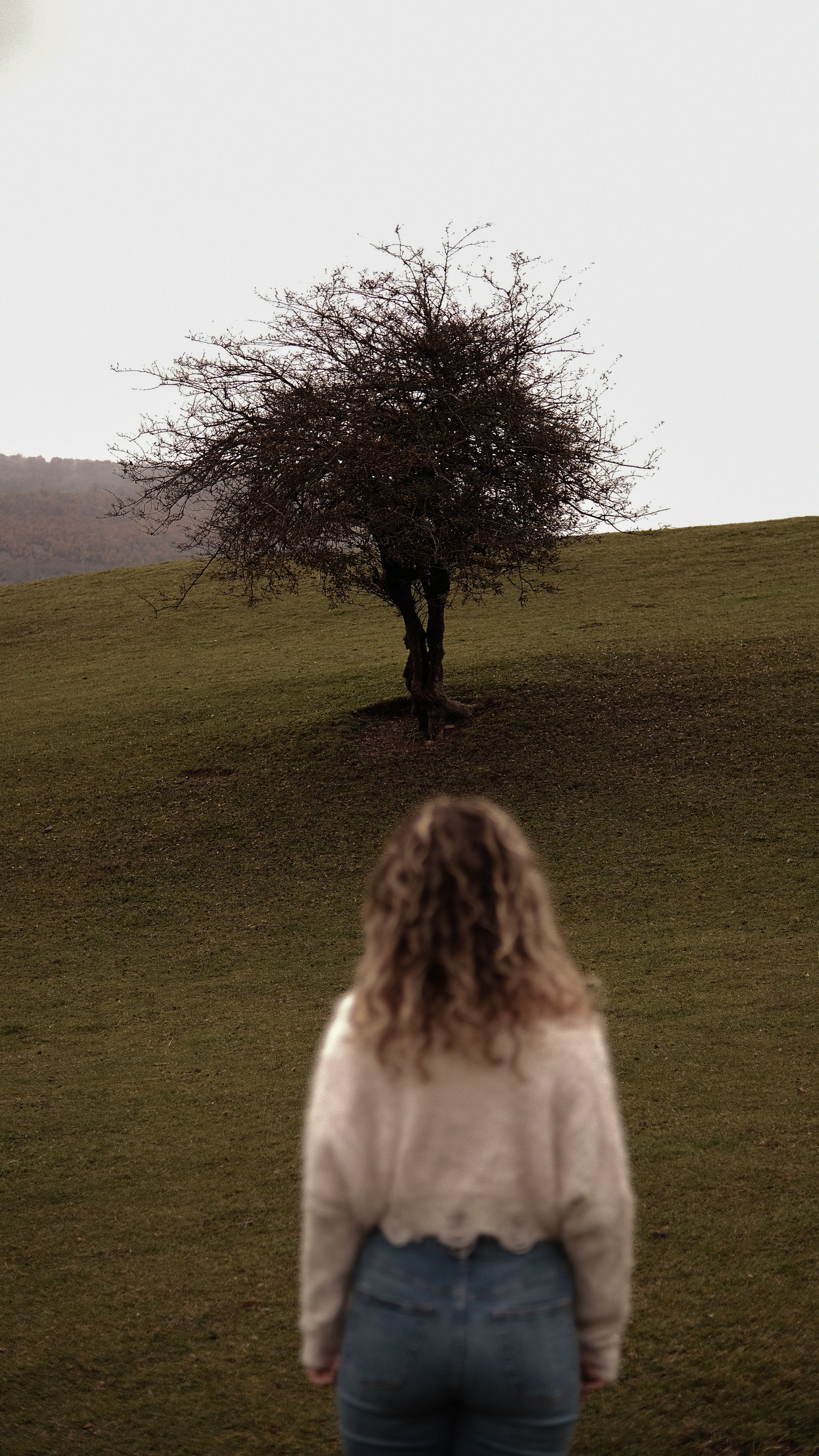 A woman gazes at a solitary tree on a quiet autumn hillside