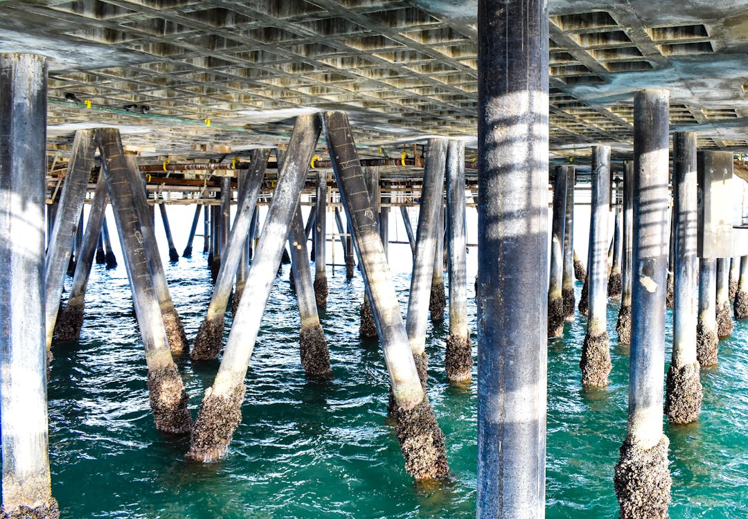 Free stock photo of beach, bridge, ocean