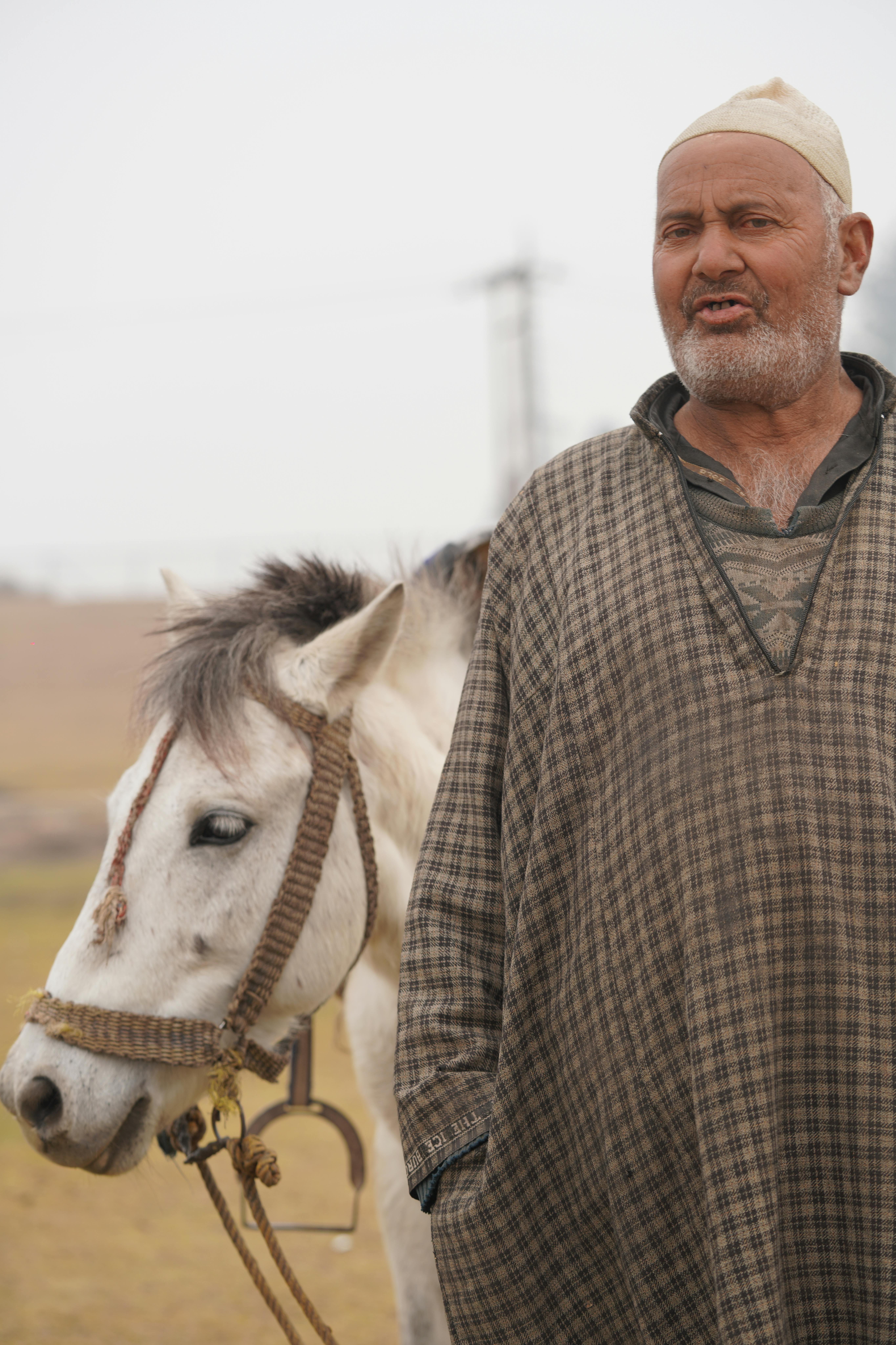 Elderly man stands beside a calm white horse in an outdoor setting. Rustic charm captured.