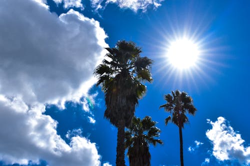 Free stock photo of afternoon, background, blue sky