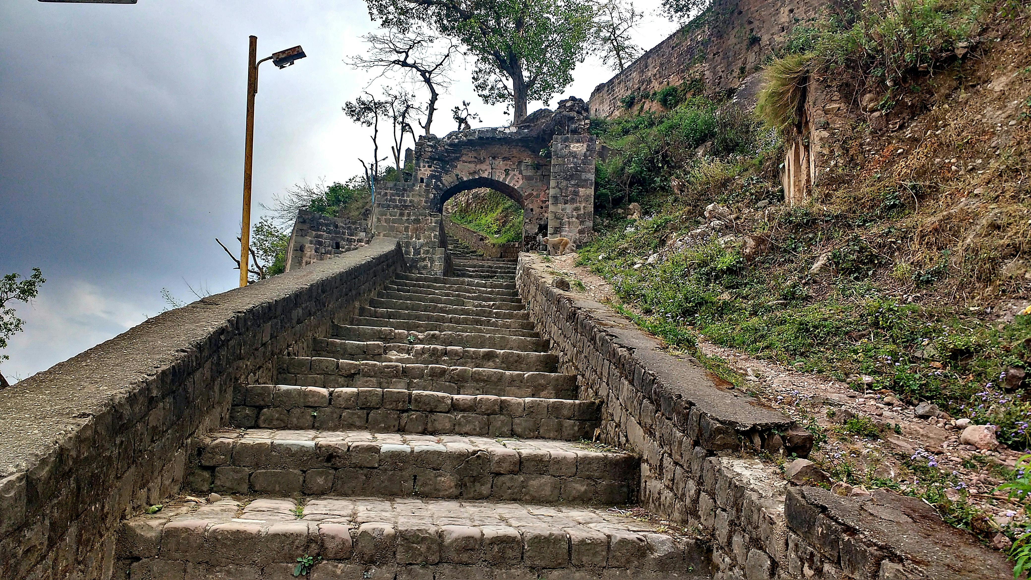 Cream Plastic Garden Shed