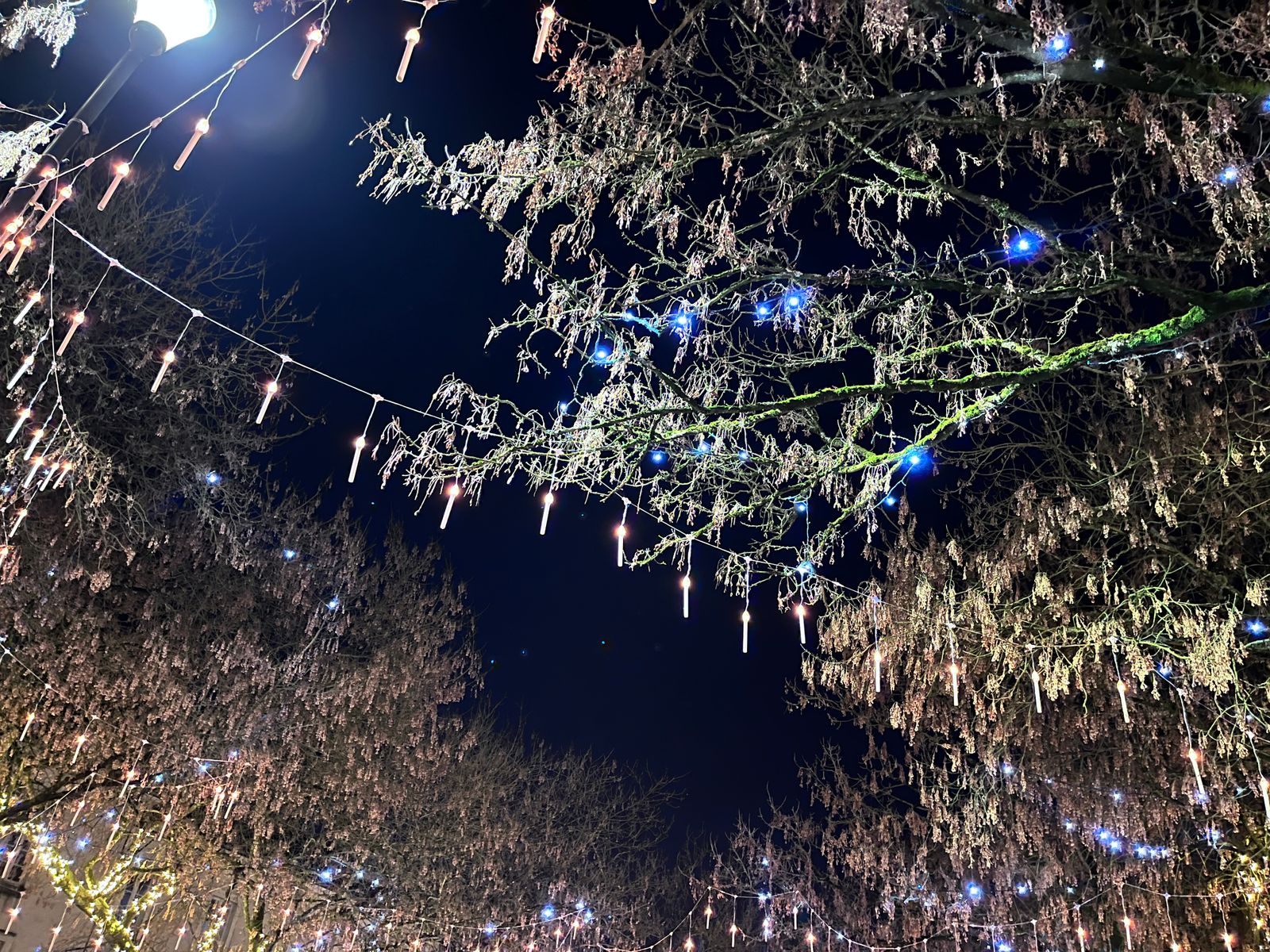 Nuit de décembre