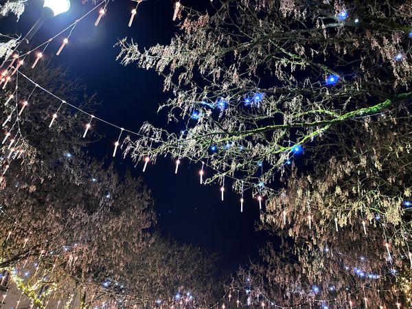 十二月的圣诞夜晚