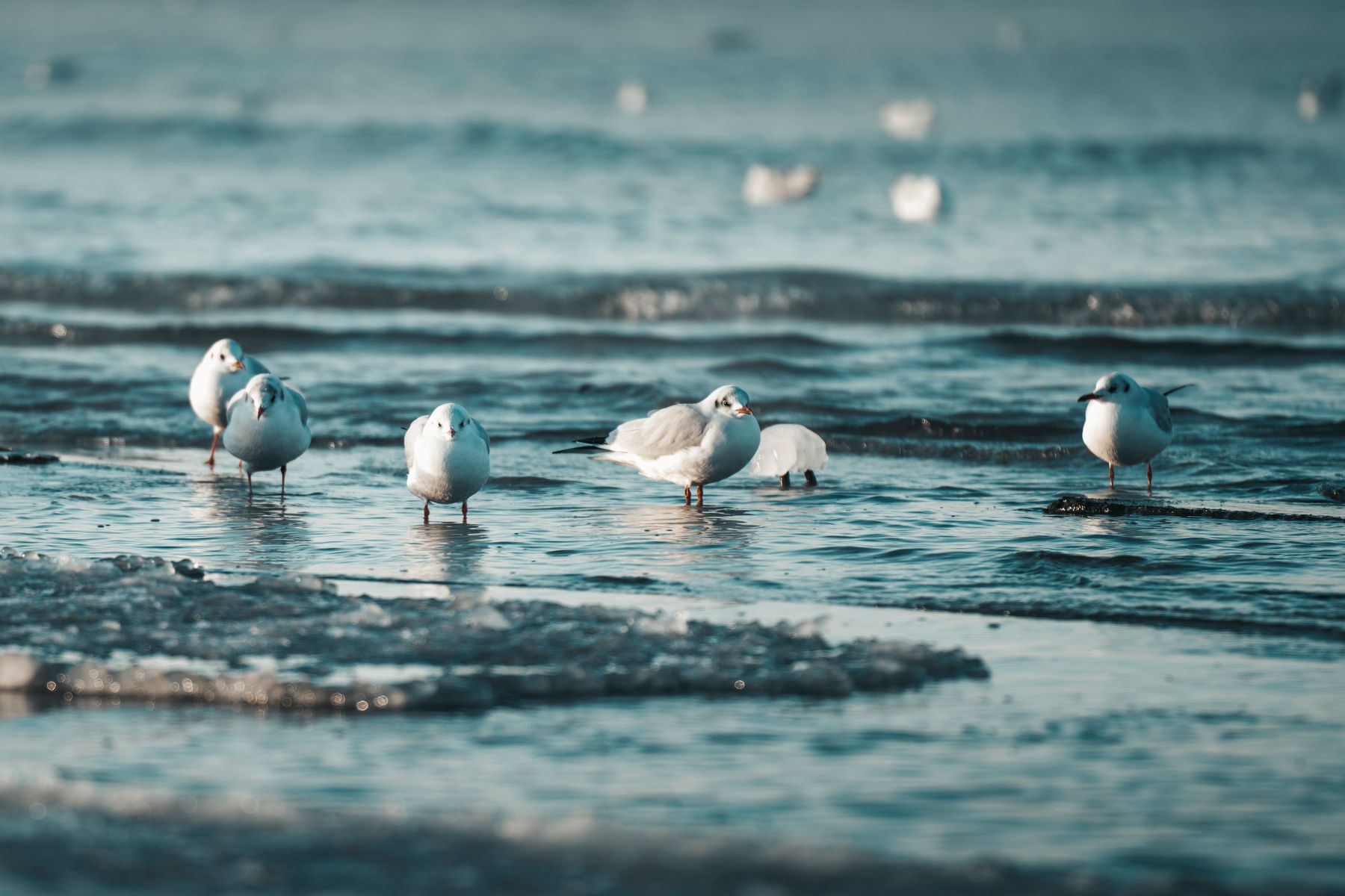 Pärnu Beach and Spa Guide: Best Coastal Leisure & Wellness Tips