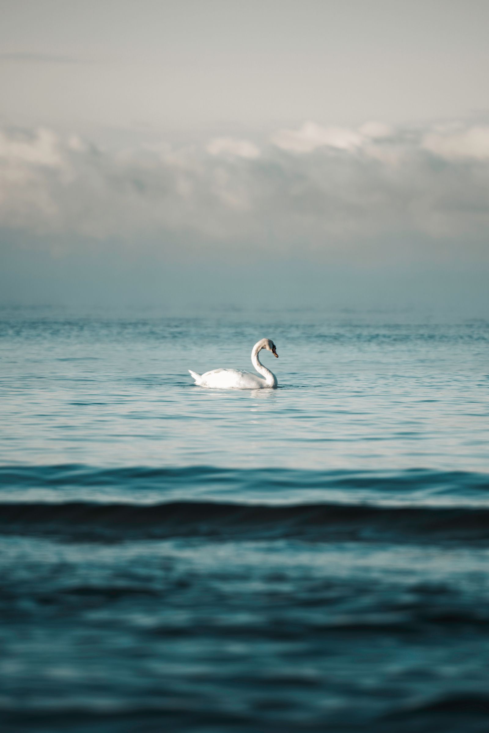 Baltic Sea Photos, Download The BEST Free Baltic Sea Stock