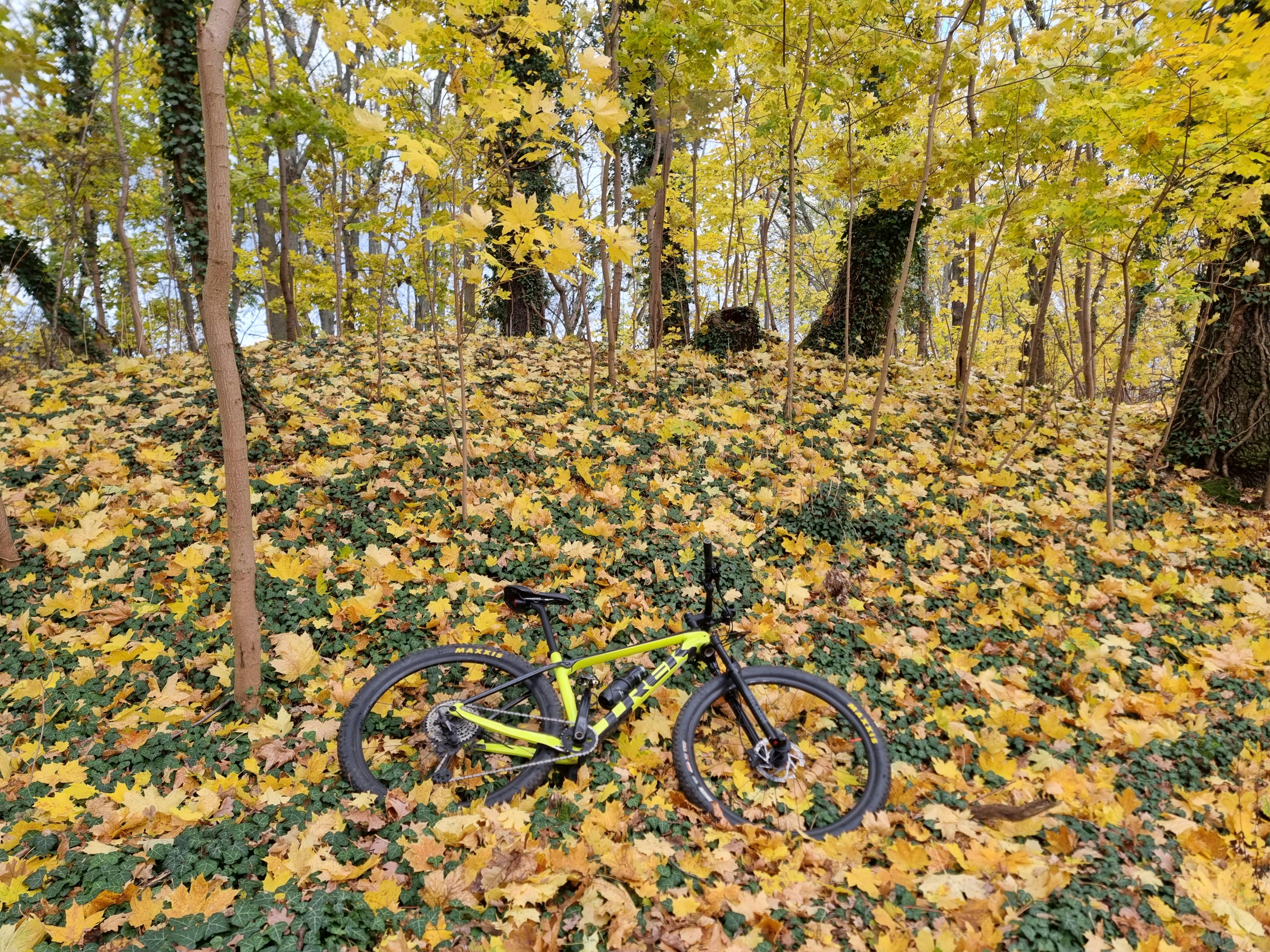 Hero Game Screenshot