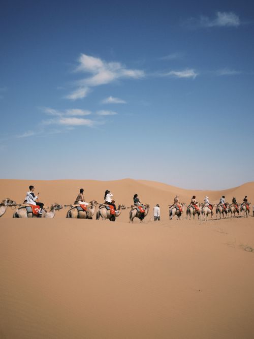Free A group of tourists ride camels through expansive desert sand dunes under a clear blue sky. Stock Photo