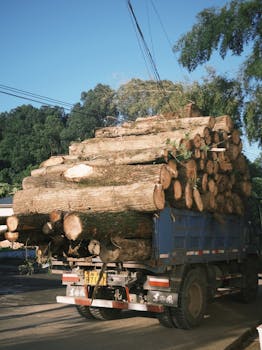 Truck loaded with timber logs driving along a road with trees around