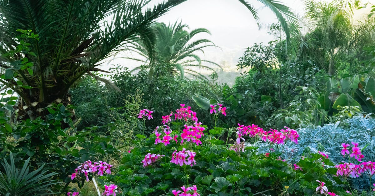 Conseils pour un jardin en permaculture réussi
