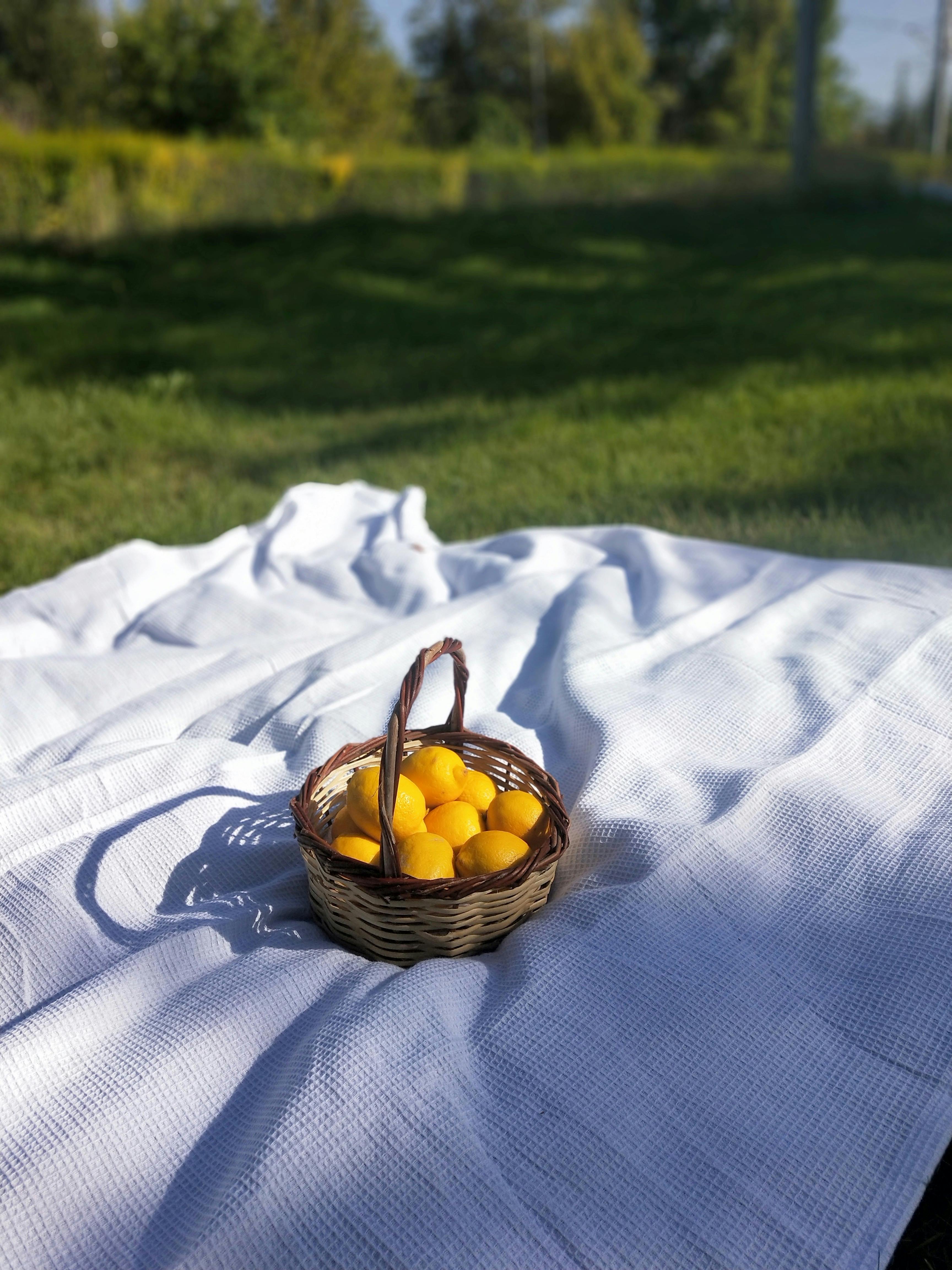 Basket of fresh lemons on a white blanket during a sunny outdoor picnic.