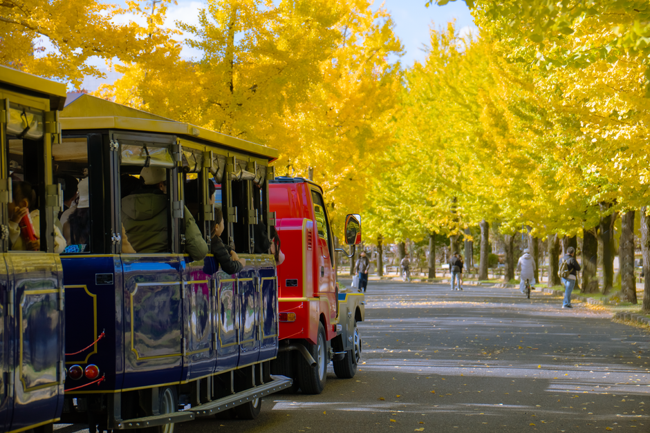 Străzi Deschise și activități pe Calea Victoriei, weekendul acesta!