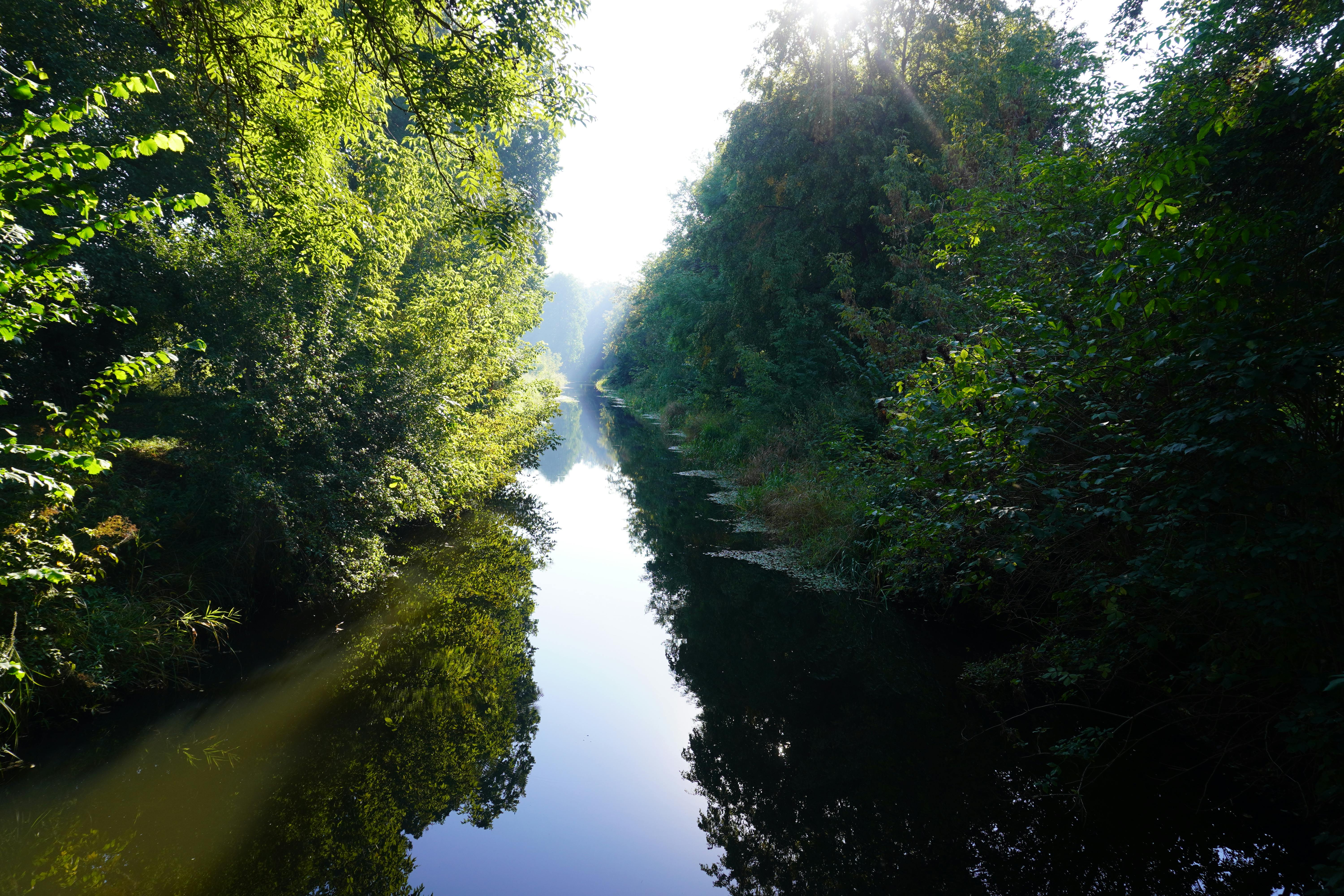 Bialowieza Forest, Poland - travel photo