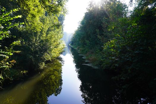 Tranquil river scene with lush green trees in Białowieża, Poland.