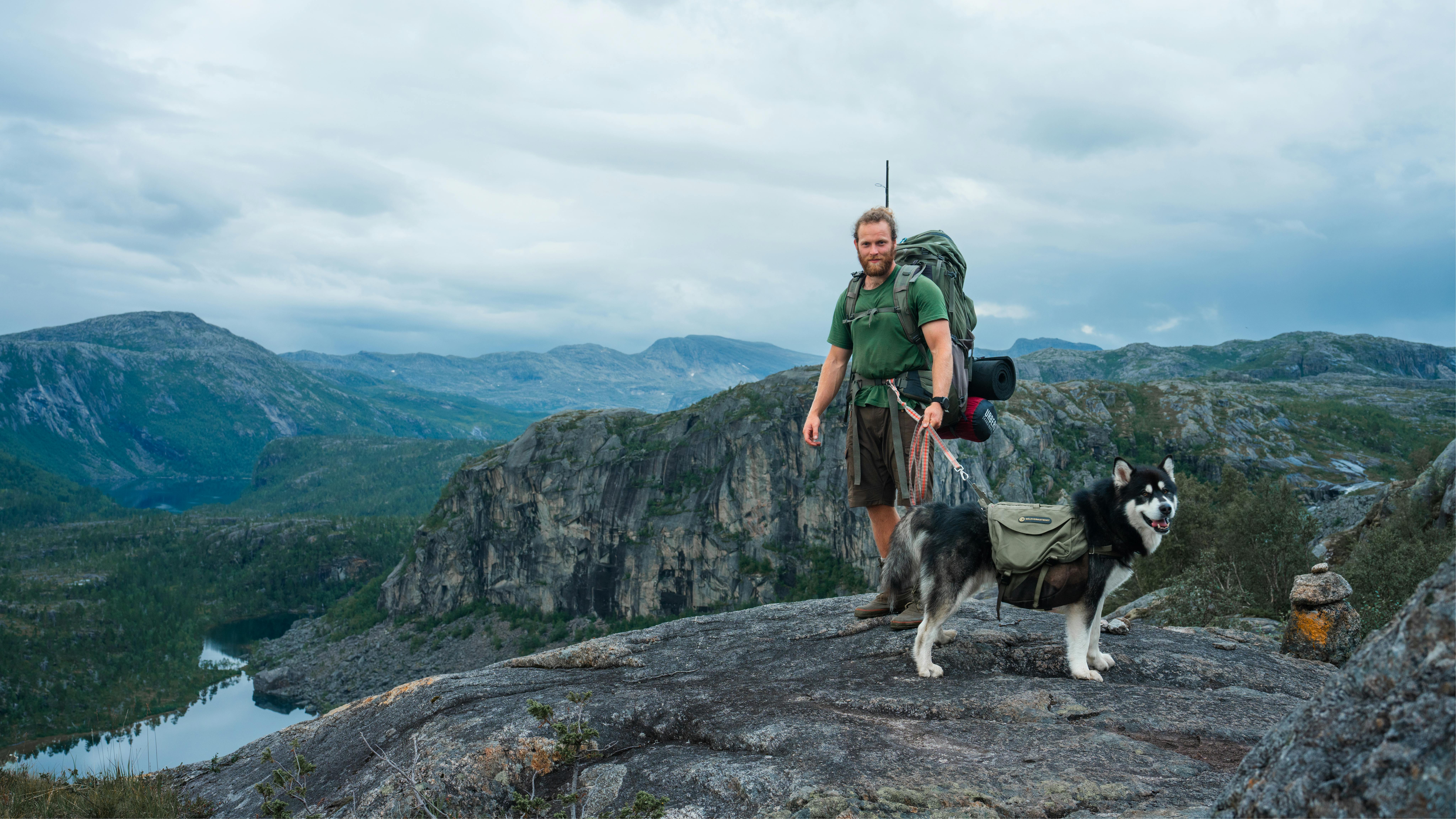 Hiker and sled dog enjoy breathtaking views in the rugged wilderness of Nordland, Norway.