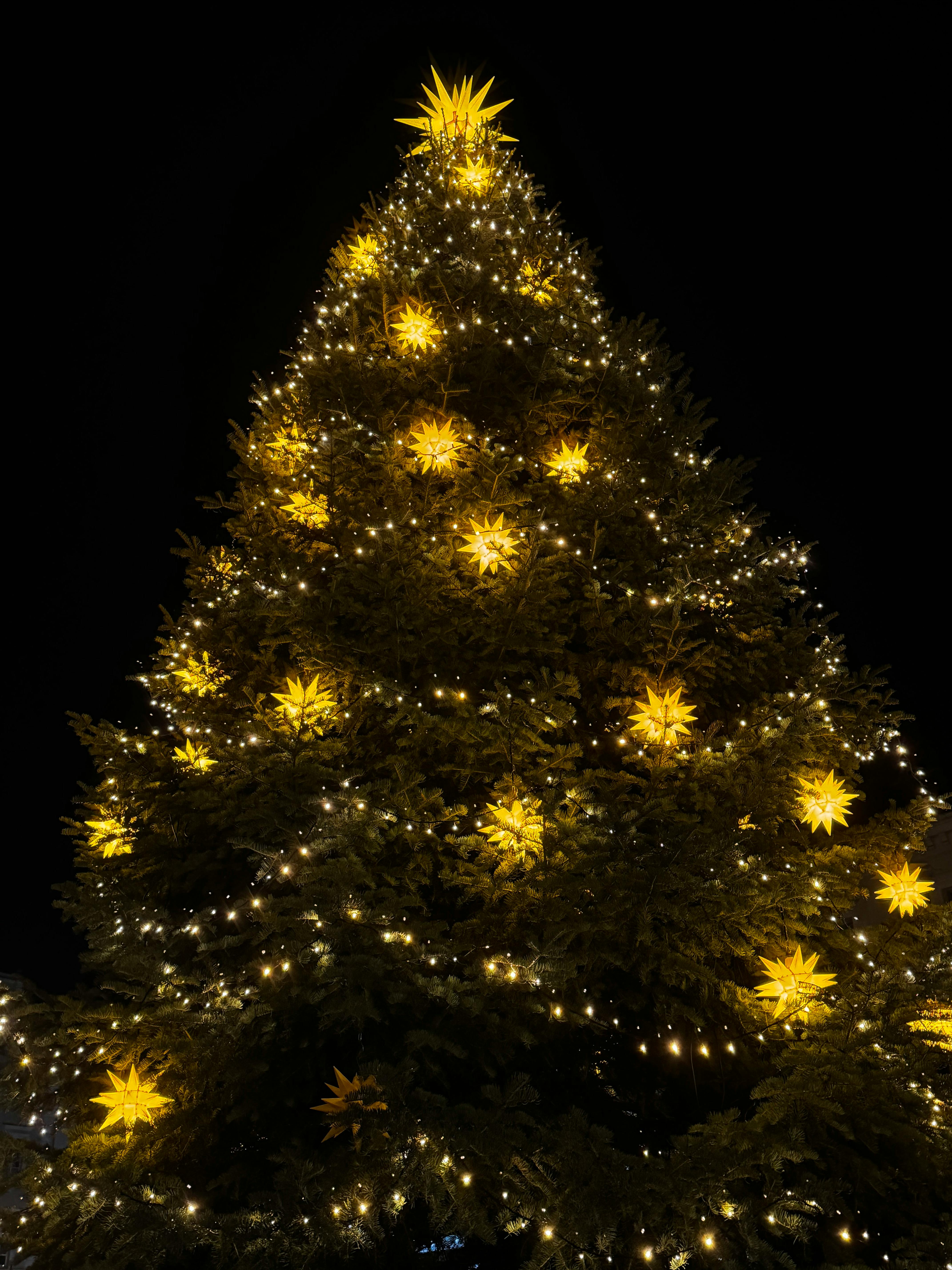 luminous christmas tree with star lights